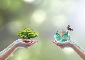 Biodiversity Conservation