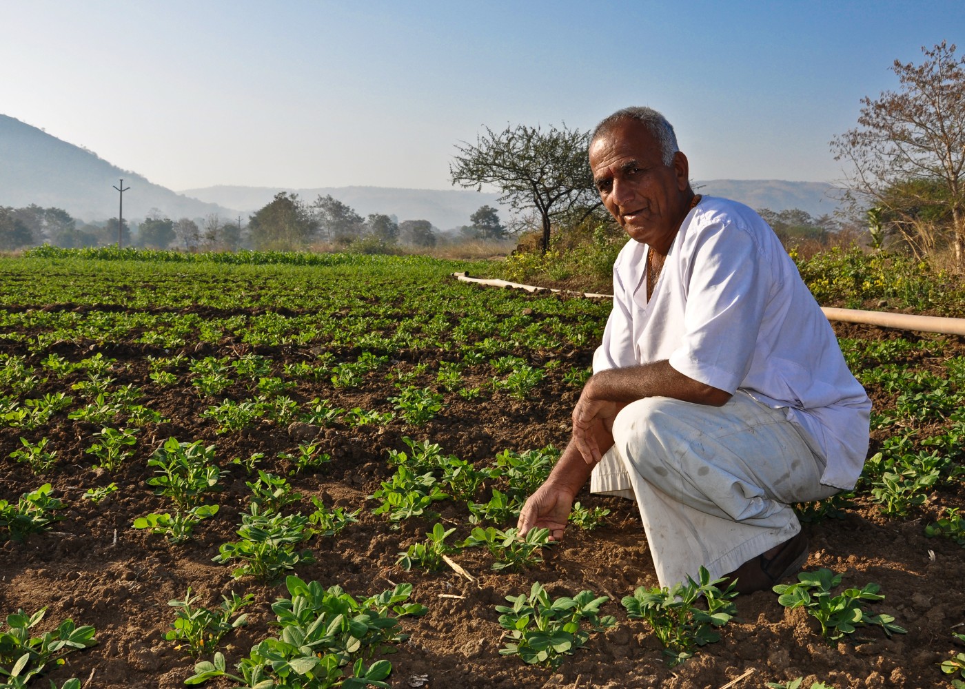 Promotion of Sustainable & Regenerative Farming
