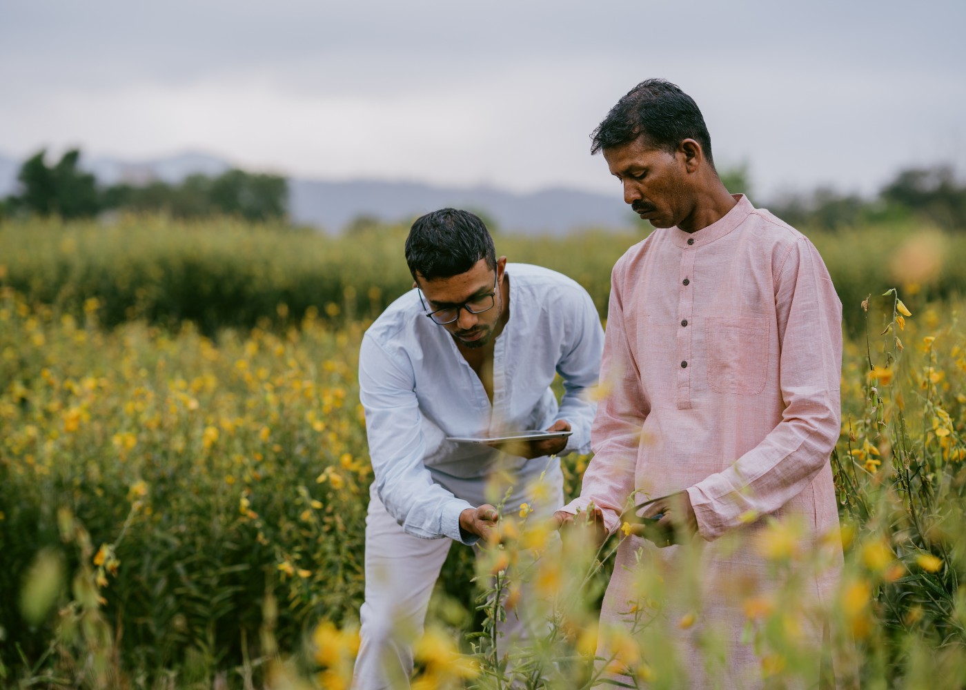 Skill Development & Capacity Building