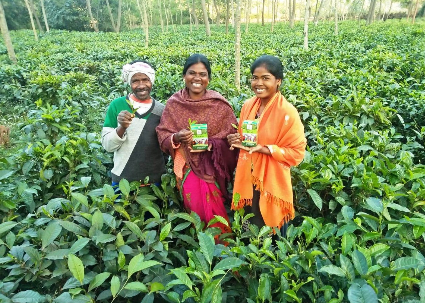 Women-led Livelihoods & Enterprises