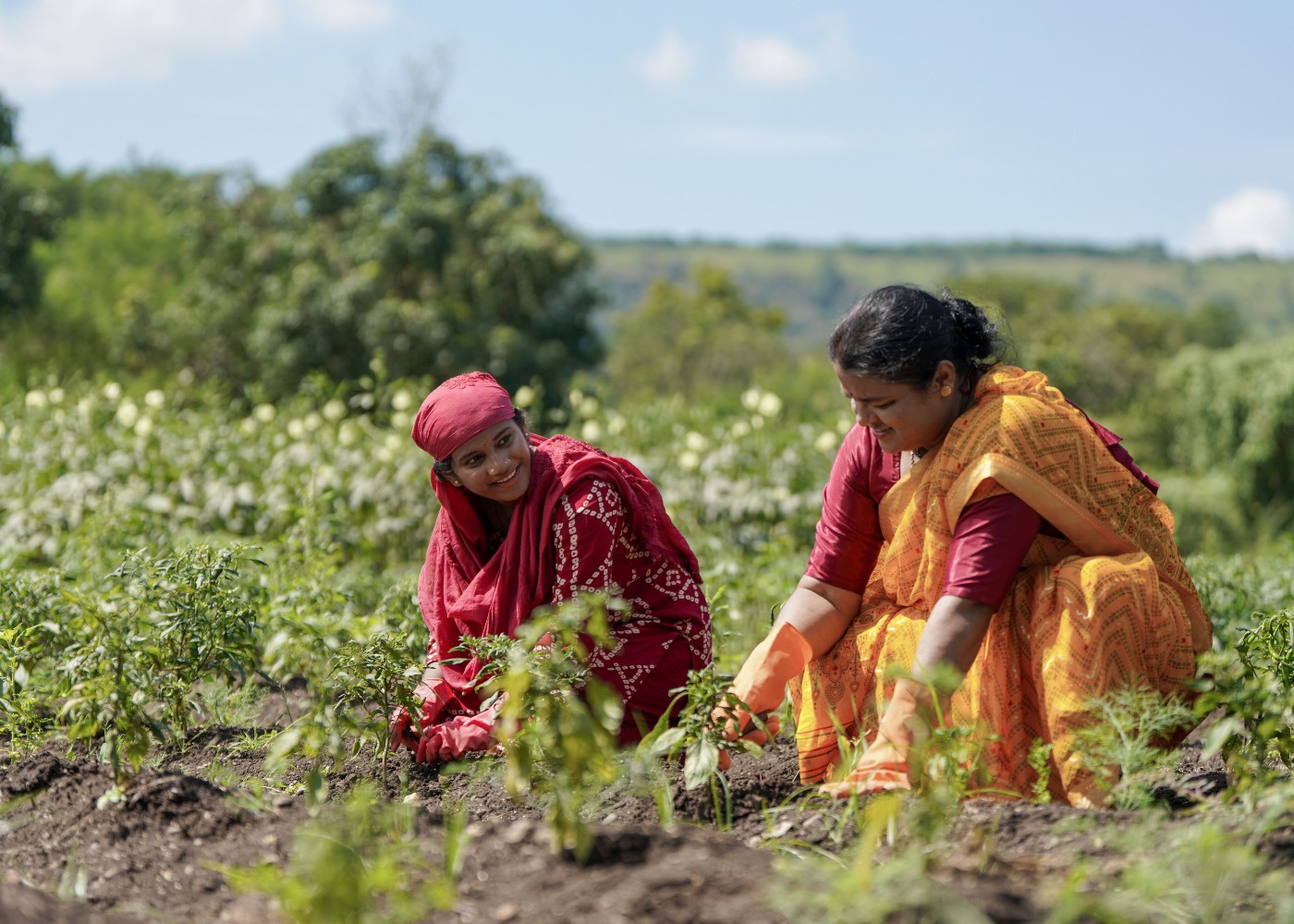 Women & Youth in Agriculture